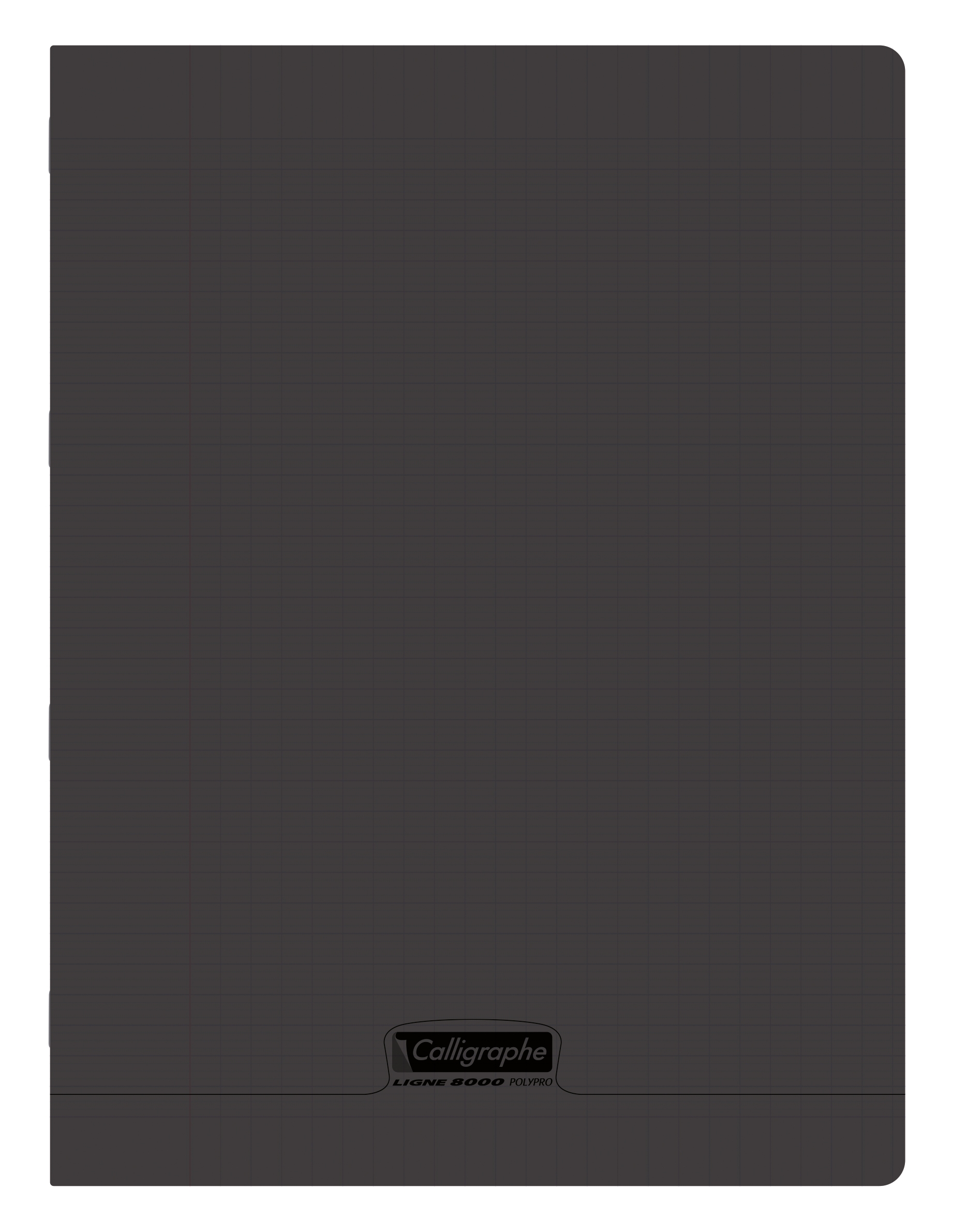 Cahier piqué 8000 POLYPRO 24x32 cm 48 pages grands carreaux 90 g