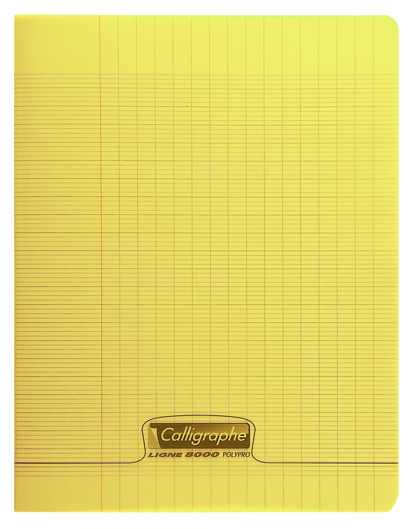 Cahier piqué 8000 POLYPRO 17x22 cm 48 pages grands carreaux 90 g