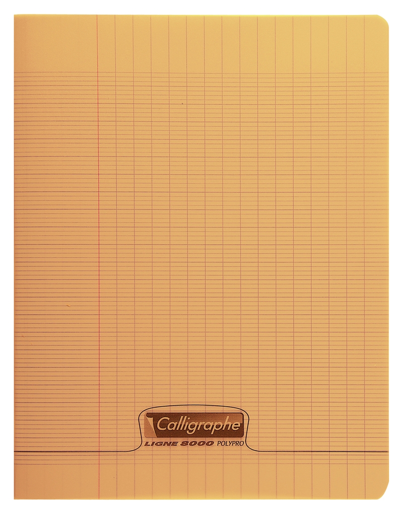 Cahier piqué 8000 POLYPRO 24x32 cm 48 pages grands carreaux 90 g