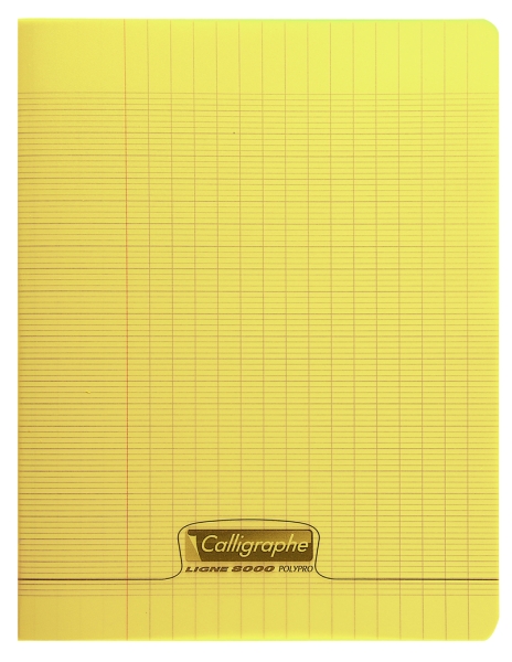 Cahier piqué 8000 POLYPRO 17x22 cm 96 pages grands carreaux 90 g